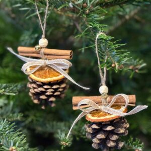 Handcrafted Pine Ornaments With Orange And Cinnamon - Set of Two