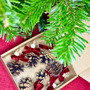 Handmade Natural Pine Decorations with red ribbon and bid - Small to Medium - Set of 6
